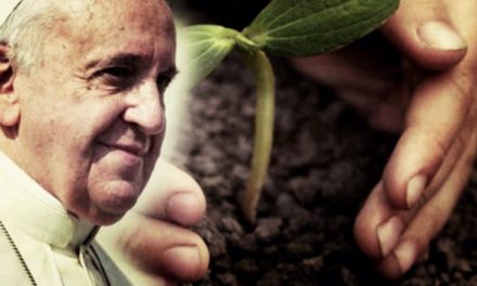 RESUME DE LA LETTRE ENCYCLIQUE LAUDATO SI’ SUR LA SAUVEGARDE DE LA  MAISON COMMUNE : RESUME SOUS FORMES D’EXTRAITS DE L’ENCYCLIQUE (texte orignial)