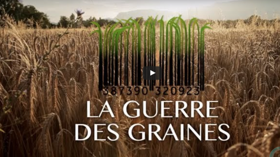 LA GUERRE DES GRAINES – LaTeleLibre.fr