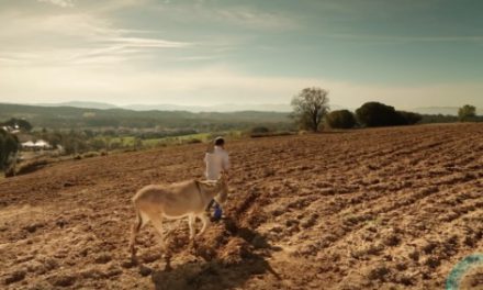 Pour une juste rétribution de l’agriculture – Je vous remercie “petits agriculteurs”, ce que tu fais est essentiel pour tous … : Intention de prières du Pape avril 2016