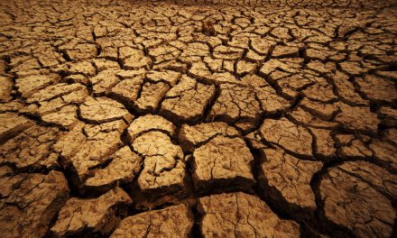 PAPE FRANÇOIS -1er septembre 2016 : la terre crie… Message pour la deuxième Journée mondiale de prière pour la sauvegarde de la création