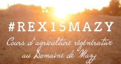 REX15 MAZY