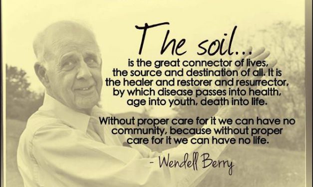La norme de la pensée agraire… par Wendell Berry, agriculteur et poète de la terre