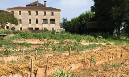 Abbaye de Maylis, quand les moines se convertissent à l’écologie : trois émissions radio de RCF