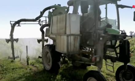 Cash Impact – Pesticides : notre santé en danger
