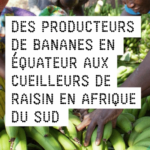 OXFAM – France, Panorama du secteur de la grande distribution française et de la consommation alimentaire : des inégalités en chaîne