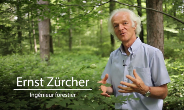 ERNST ZÜRCHER, EXPERT EN LANGUE DES BOIS… – EN AGROFORESTERIE