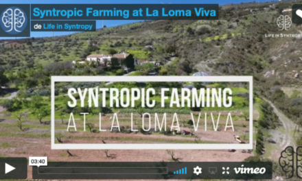 L’agriculture syntropique dans le sud de l’Espagne-  Felipe Pasini