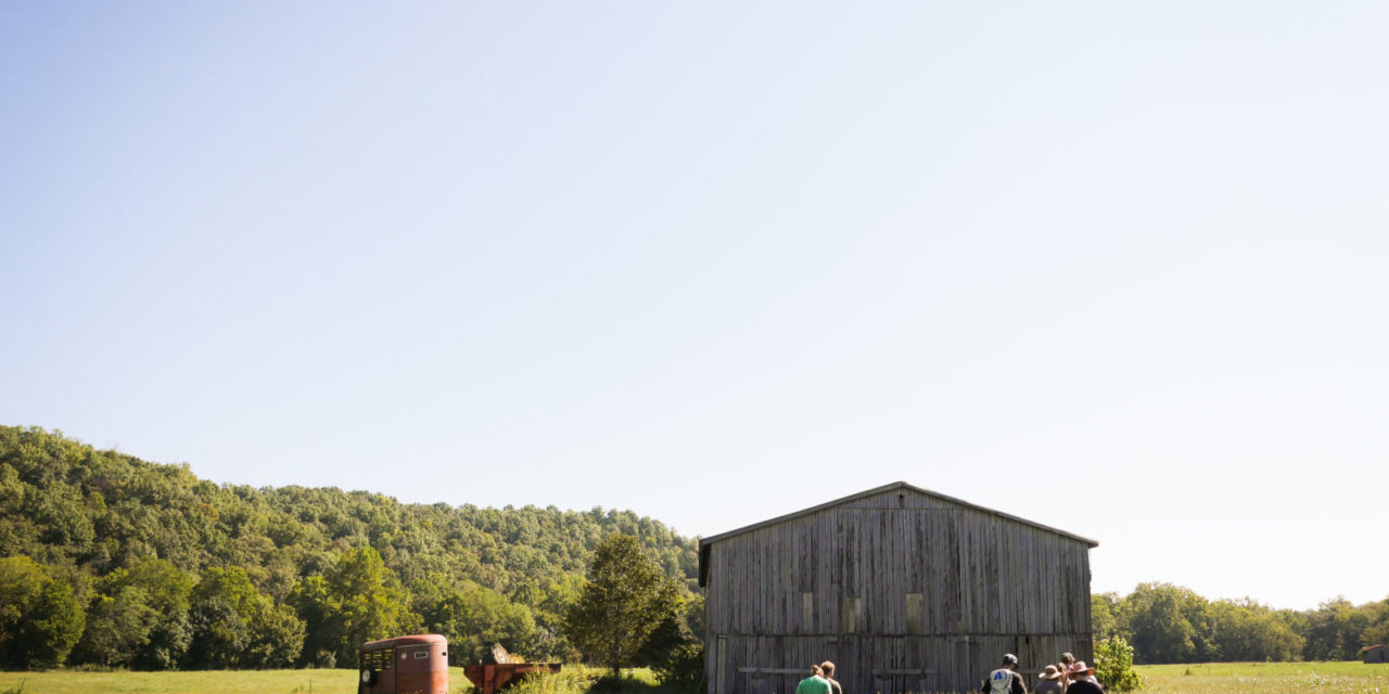 Now Enrolling: The Wendell Berry Farm School / Inscription en cours : L’école Wendell Berry Farm