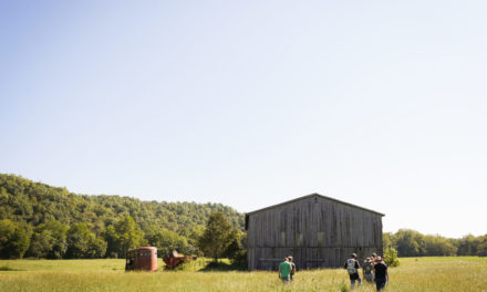 Now Enrolling: The Wendell Berry Farm School / Inscription en cours : L’école Wendell Berry Farm