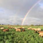 Photos de la Ferme de Mazy en octobre 2019