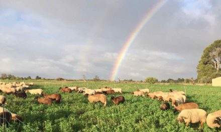 Photos de la Ferme de Mazy en octobre 2019