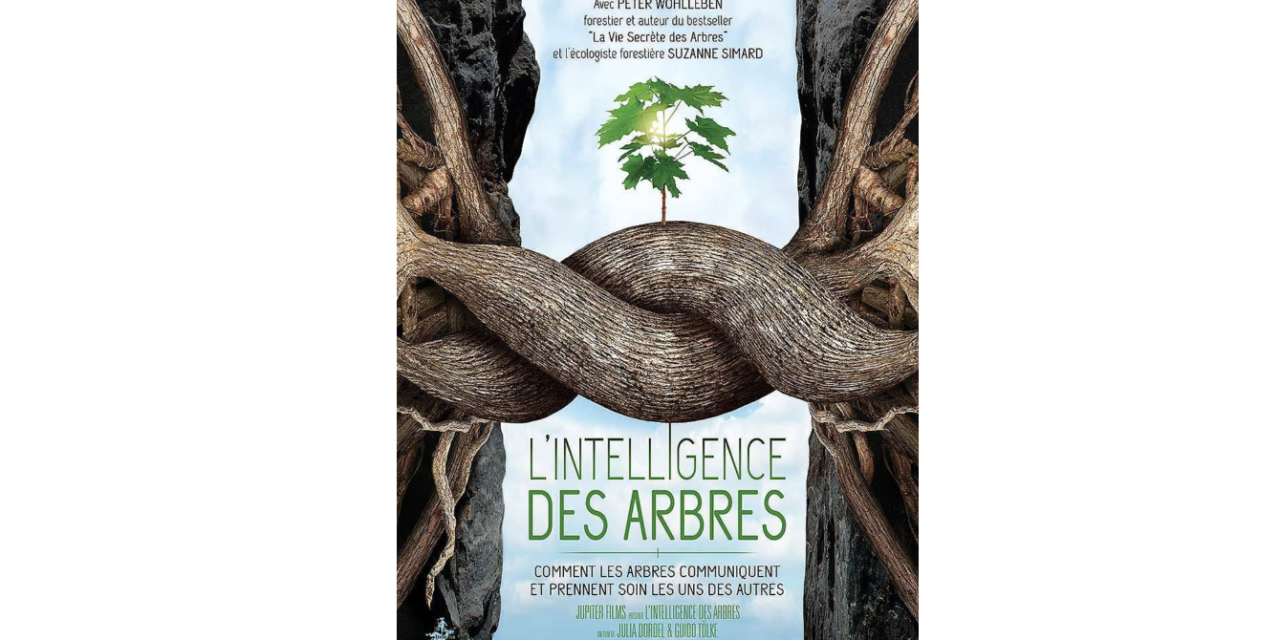 La vie secrète des arbres - P.WOHLLEBEN