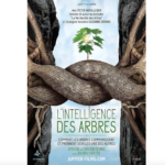 L’intelligence des arbres » : un film qui révèle la vie secrète des forêts – Co-réalisatrice du film, Julia Dordel