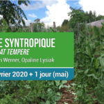 OPALINE LYSIAK / FELIPE AMATO / STEVEN WERNER : FORMATION AGRICULTURE SYNTROPIQUE EN CLIMAT TEMPERE  DU 10 AU 13 FEVRIER A CASTETS EN DORTHE (33)