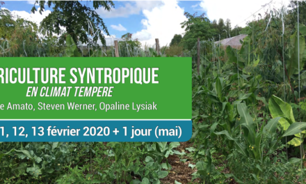 OPALINE LYSIAK / FELIPE AMATO / STEVEN WERNER : FORMATION AGRICULTURE SYNTROPIQUE EN CLIMAT TEMPERE  DU 10 AU 13 FEVRIER A CASTETS EN DORTHE (33)