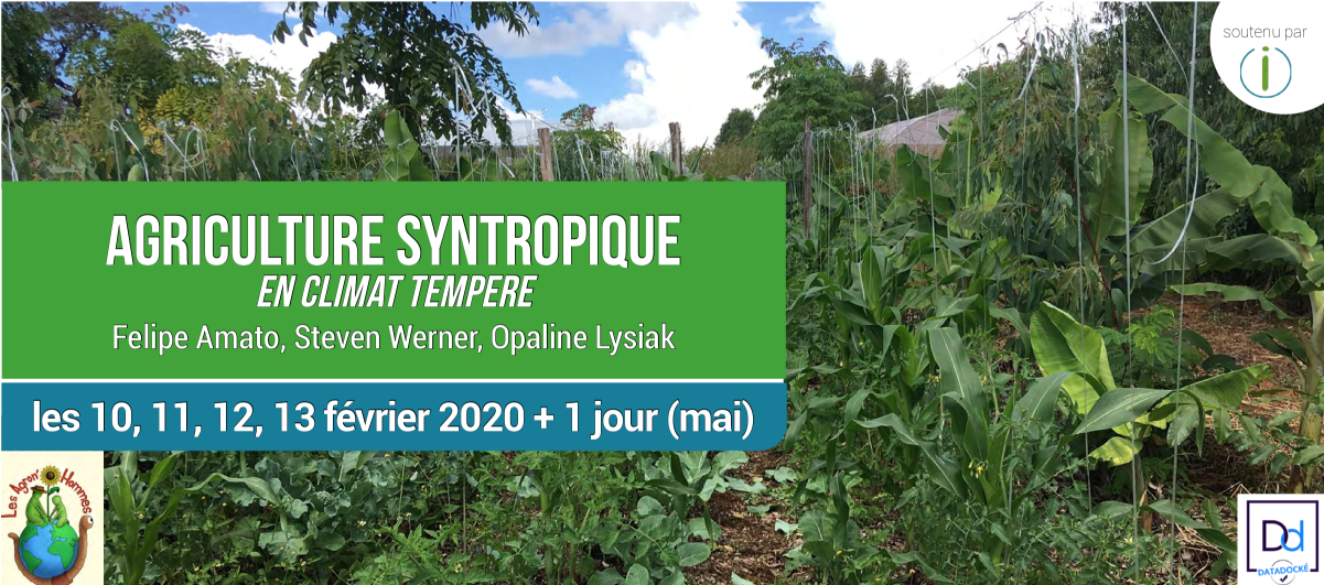 OPALINE LYSIAK / FELIPE AMATO / STEVEN WERNER : FORMATION AGRICULTURE SYNTROPIQUE EN CLIMAT TEMPERE  DU 10 AU 13 FEVRIER A CASTETS EN DORTHE (33)