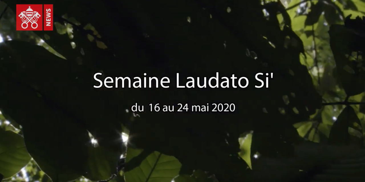 Le pape François invite les communautés catholiques du monde entier à célébrer la Semaine Laudato Si’ du 16 au 24 mai 2020.