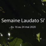 Le pape François invite les communautés catholiques du monde entier à célébrer la Semaine Laudato Si’ du 16 au 24 mai 2020.