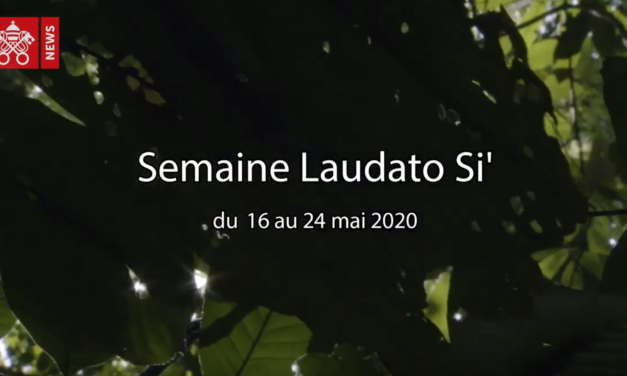 Le pape François invite les communautés catholiques du monde entier à célébrer la Semaine Laudato Si’ du 16 au 24 mai 2020.