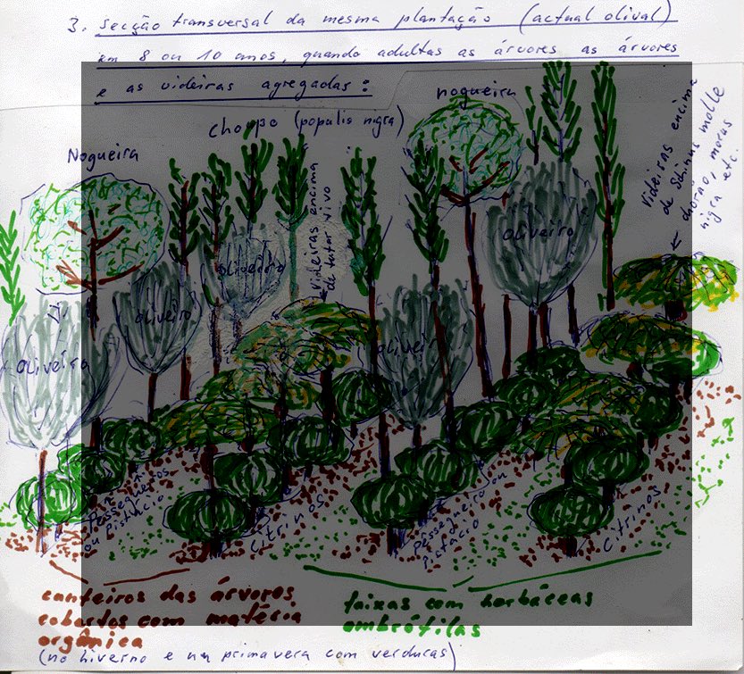 10 AU 16 MARS 2019 – COURS A MAZY POUR LES MONASTERES / UNE AGRICULTURE BASÉE SUR L’AMOUR INCONDITIONNEL DE TOUTES LES CRÉATURES – CULTIVER DE L’EAU ET ÉTABLIR UNE RELATION FÉCONDE AVEC LA TERRE…?