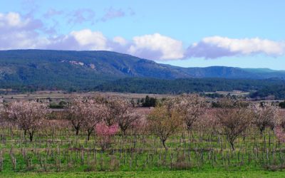 DU 21 AU 26 MARS 2021 – Formation à Mazy pour les Monastères